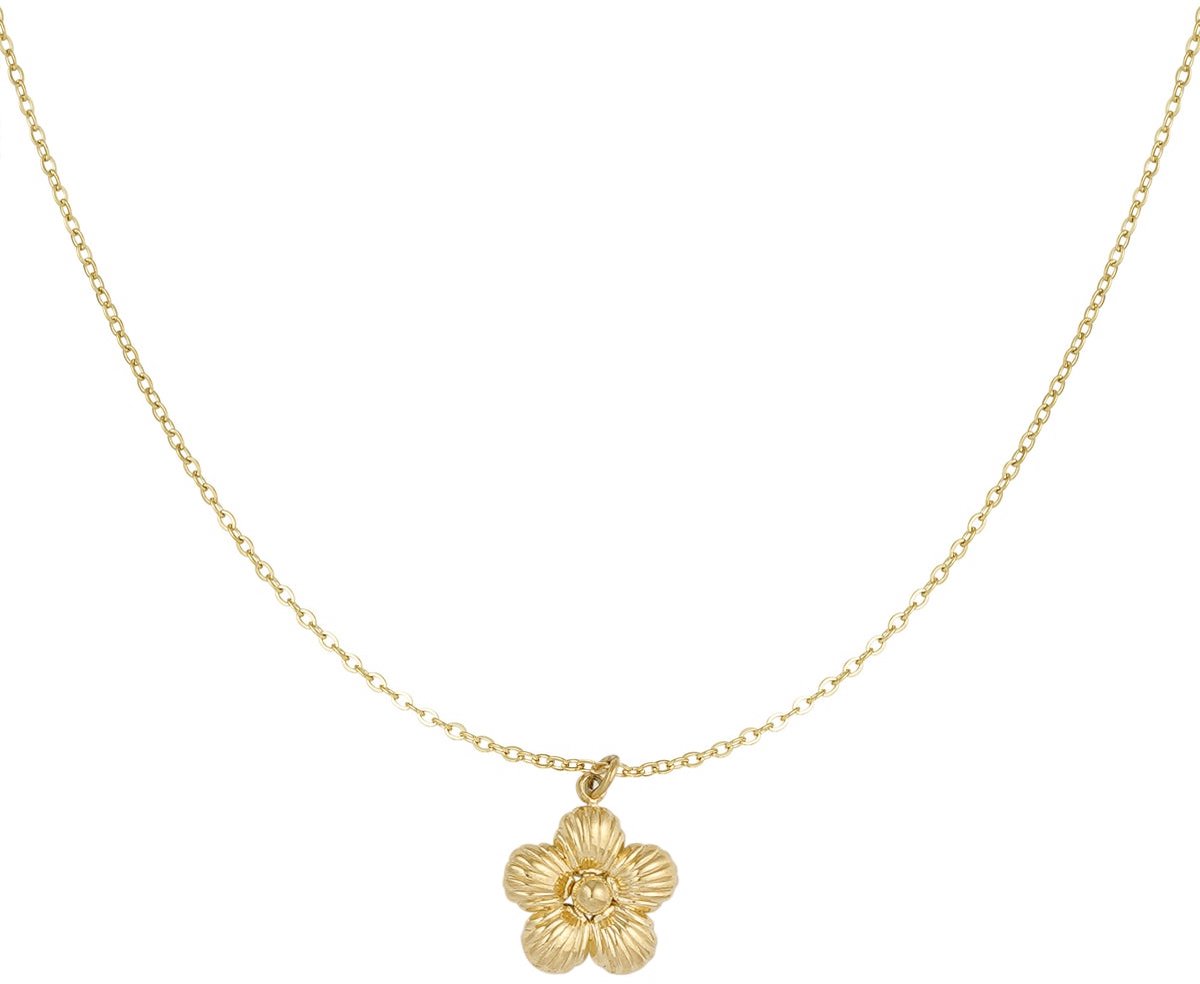 daisy ketting