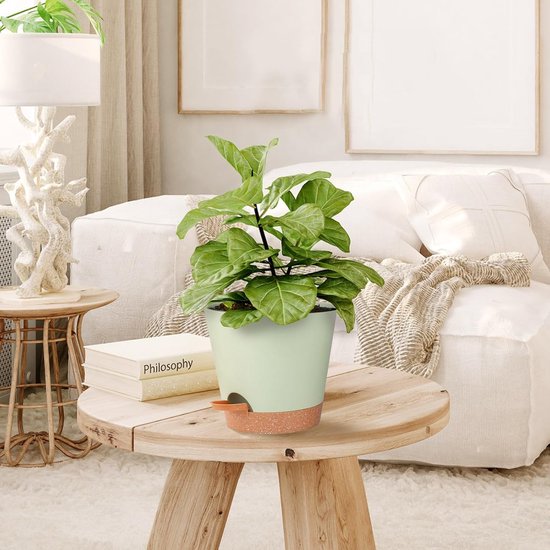 Zelfwaterende plantenset (geschikt voor buitenplanten) 7“/6,5”/6“/5,5”/5" Vijfdelige set voor kamerplanten Groene plastic potten voor binnen met afwateringsgaten Diepe troggen voor vetplanten van Merkloos	 — afbeelding 2