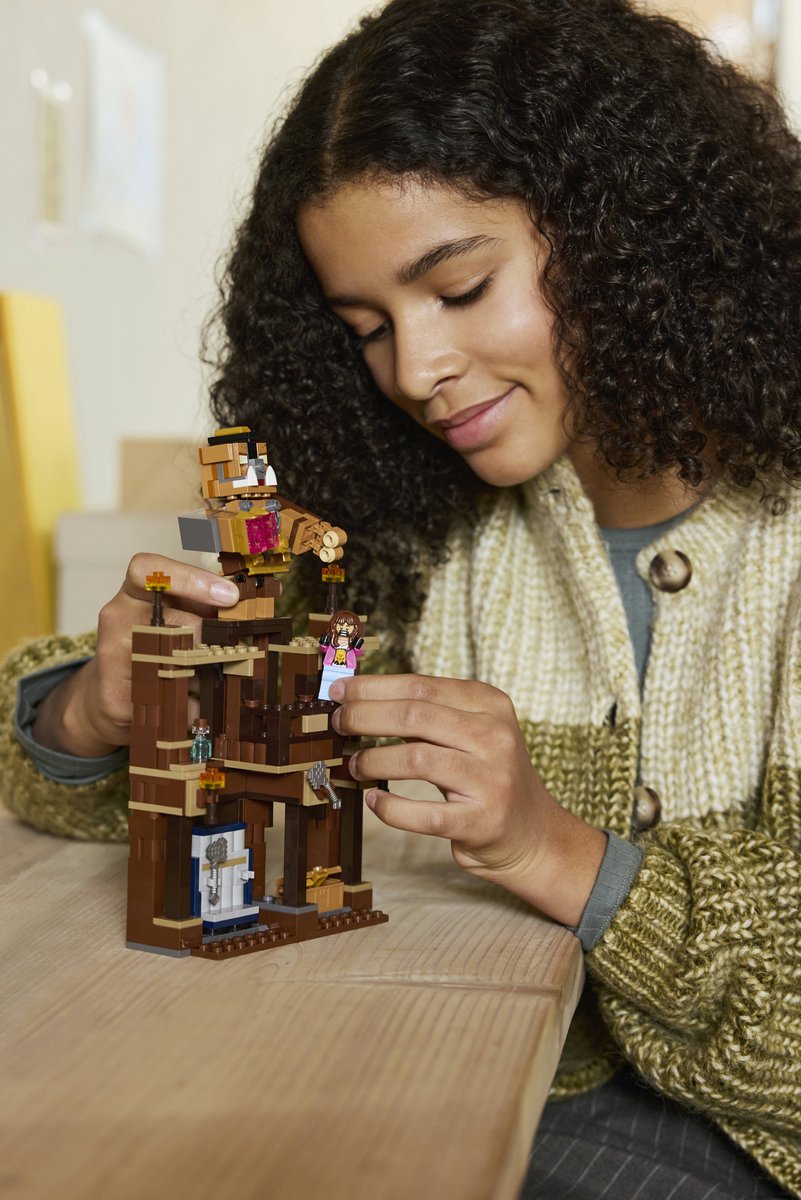 LEGO Minecraft De Arena bij het Boslandhuis - 21272 — afbeelding 24