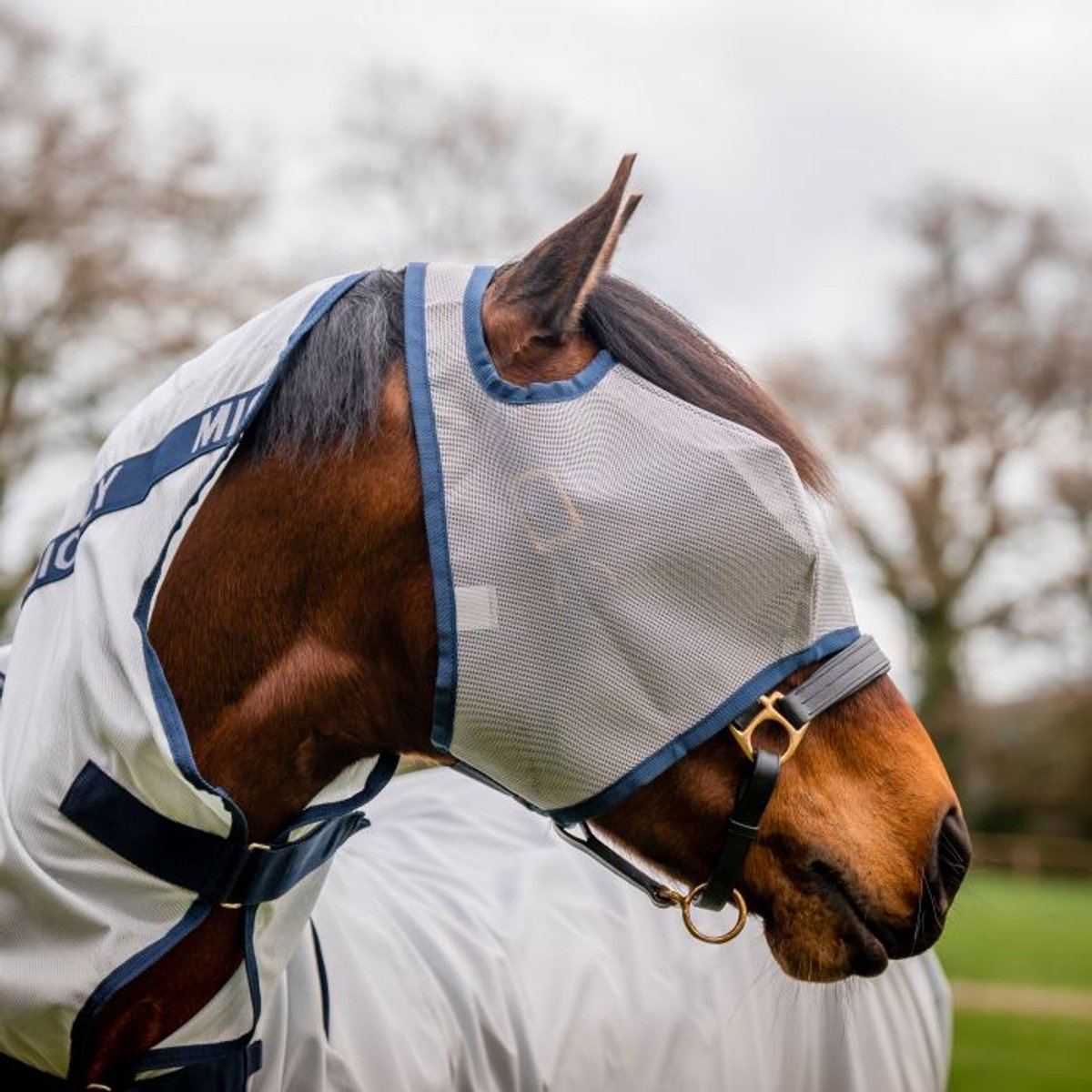 Sale Horseware Amigo Mio Vliegenmasker