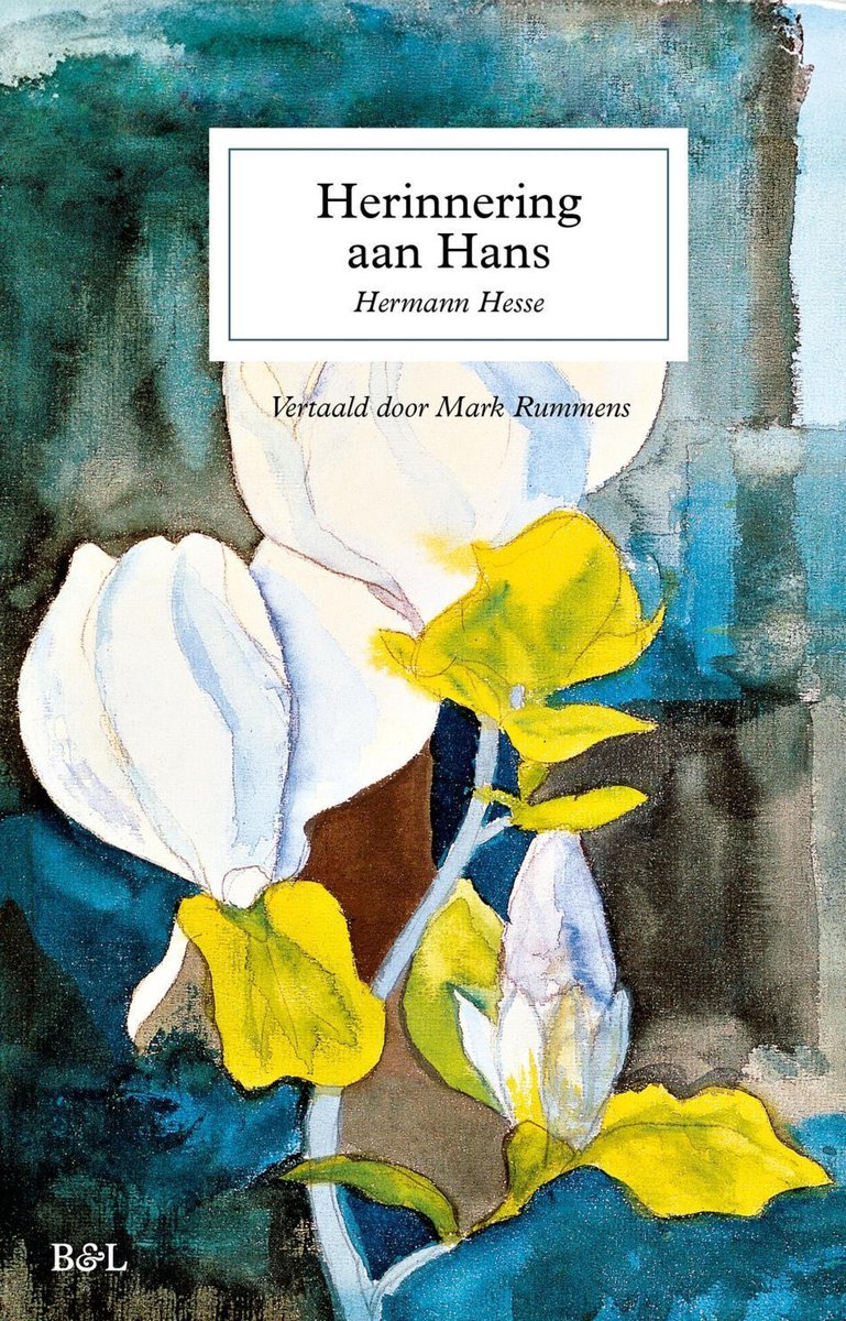 Herinnering Aan Hans