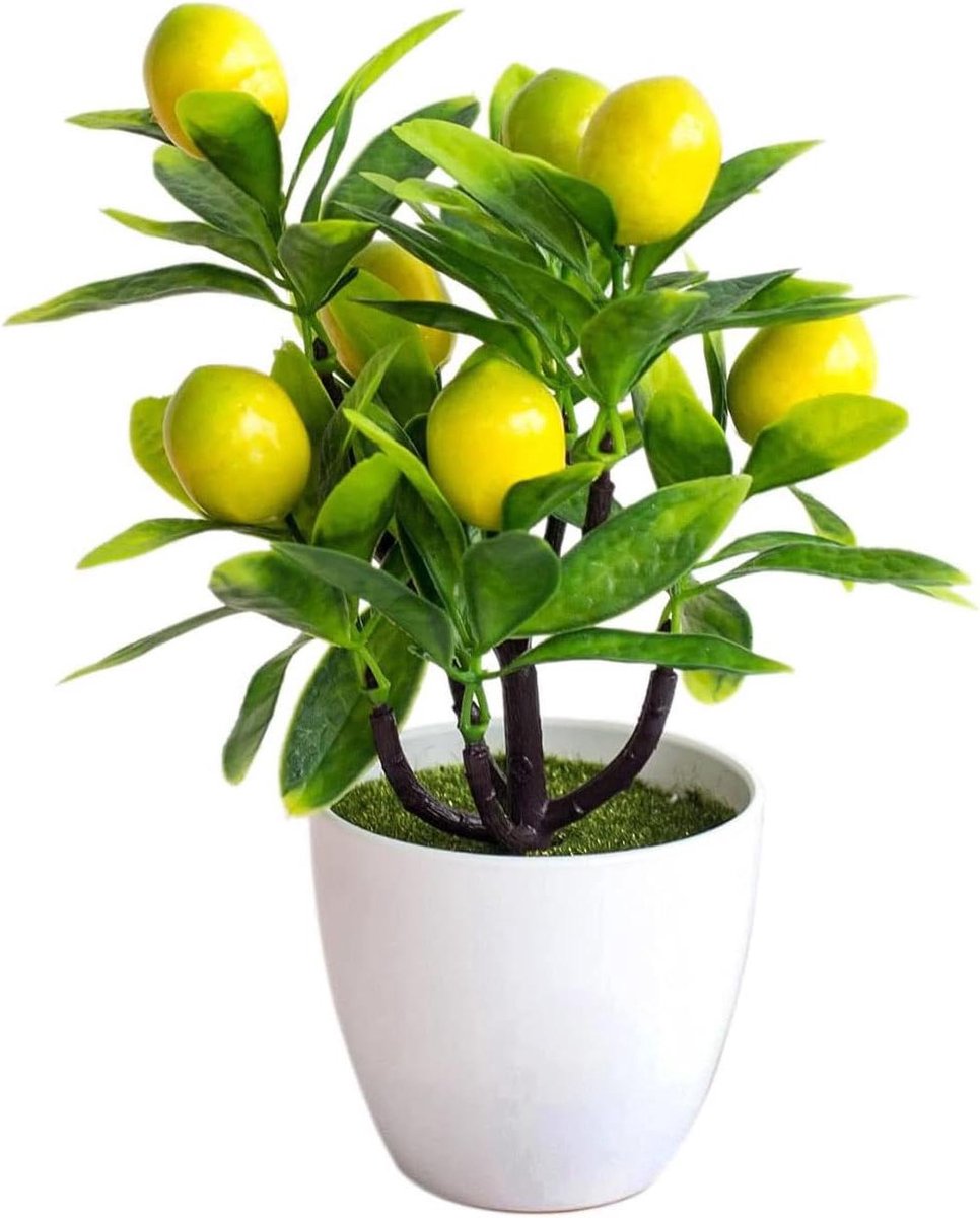 Kunstcitroenboom - Nep citroenplant - Woondecoratie - Realistisch design - 24 cm hoog - Gr