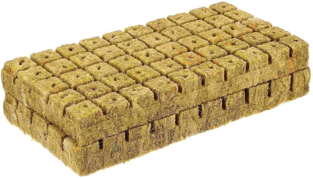 Rotswol Kubussen - Groeistarters - Planten Vermeerderen - Goede Luchtdoorlatendheid - 100 Stuks - Grijs