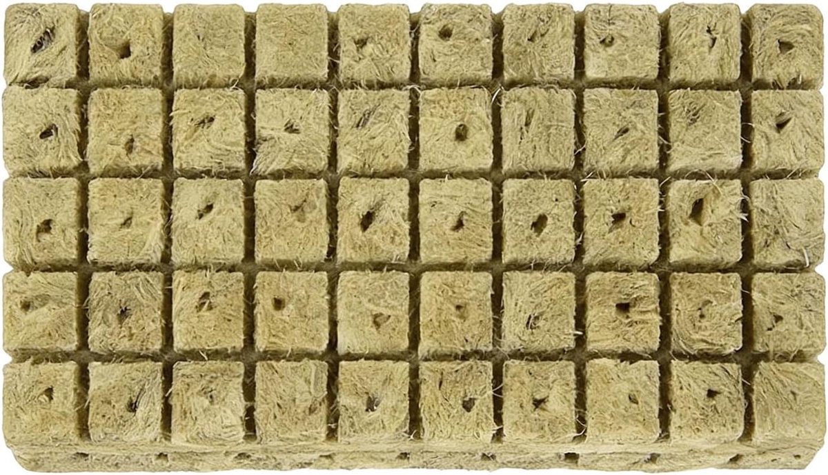 Hydrocultuur Startblokjes - herbruikbare groei blokken pluggen | 100 stuks planten stekken steenwol blokjes | voor Binnentuinen, Kasplanten, Stekken &
