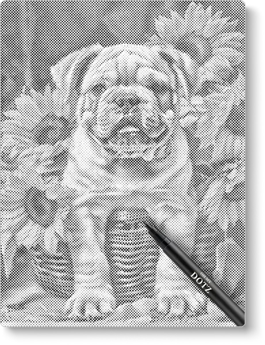 Bulldog | Dot painting | 40x50cm | Dot painting | Oh My Dotz | Dots stippen | Diamond painting & Schilderen op nummer alternatief | Happy hobby