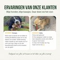 Een Berner Sennenhond en een chihuahua liggen en eten snacks. Klantrecensies.