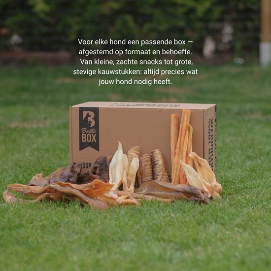 Een Bellobox gevuld met diverse hondensnacks, liggend op gras.