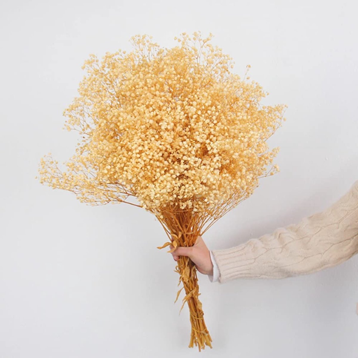 Dailygoods - Dailygoody - Droogbloemen babyadem boeket - Witte Gypsophila takken - Natuurlijke decoratie voor bruiloft - 17 inch boeket - Huisdecoratie - Doe-het-z.