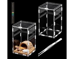 Reptielen Terrarium van Acryl, 20 x 12 x 12 cm, Inclusief Thermometer en Tweezers, Ademend Ontwerp voor Optimale Groei van Schorpioenen en Millipedes