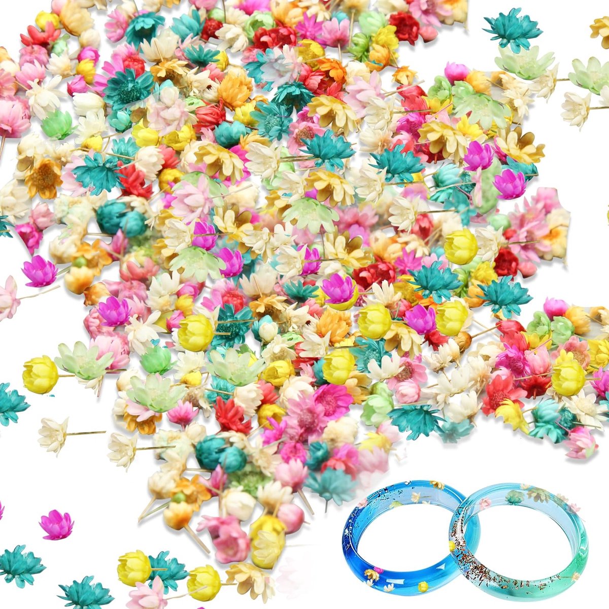 Dailygoods - Mini Gedroogde Bloemen voor Hars, 850 Stuks, Natuurlijke Decoratie