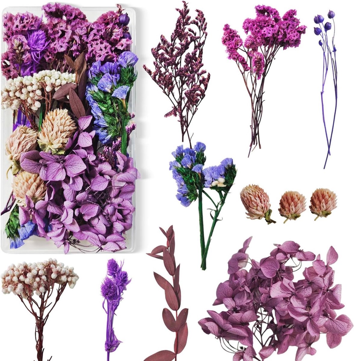 Dried Flowers in Wit en Paars - Perfect voor Decoratie, Bruiloften en Creatieve Projecten