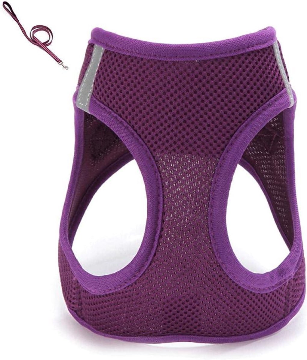 Hondentuig met Lijn - Honden Harnas Vest - Veilig Wandelen - Reflecterend Ontwerp - XS - Violet
