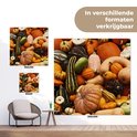 Product afbeelding  11