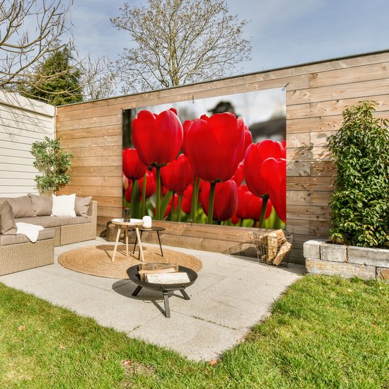 Gros plan de tulipes rouges Affiche de jardin 180x120 cm - Toile de jardin / Toile d'extérieur / Peintures d'extérieur (décoration de jardin) XXL / Groot format!