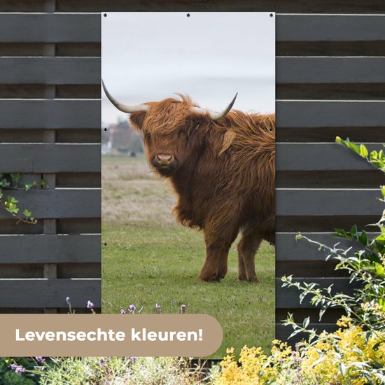 Affiche de clôture Scottish Highlander - Vache - Herbe - 100x200 cm - Toile de jardin