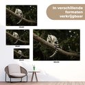 PDP.ProductImage.Thumb.Image.srtText 11