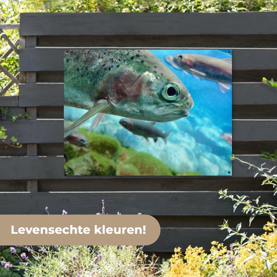Affiche jardin - Toile jardin - Affiches jardin extérieur - Gros plan d'une truite - Posters de jardin cm - Jardin
