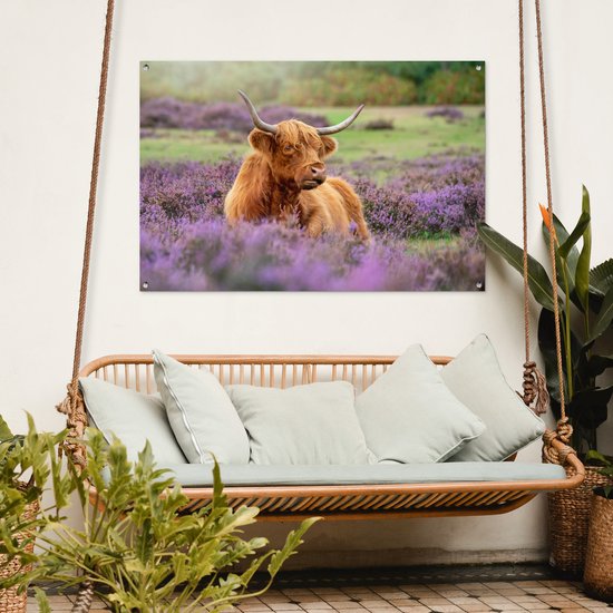 Un montagnard écossais se trouve parmi les fleurs violettes.Affiche de jardin 120x80 cm - Toile de jardin / Toile d'extérieur / Peintures d'extérieur (décoration de jardin)