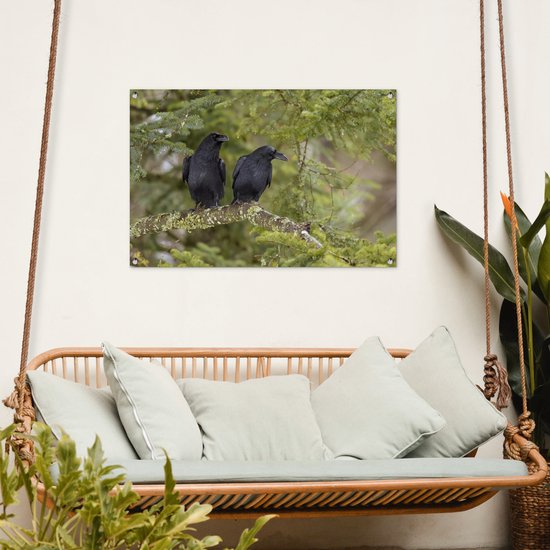 Deux corbeaux noirs sont assis ensemble sur une branche Affiche de jardin 90x60 cm - Toile de jardin / Toile d'extérieur / Peintures d'extérieur (décoration de jardin)