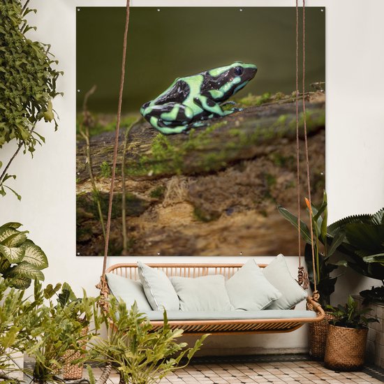 Een groene pijlgifkikker met zwarte patronen op een mosbegroeid stuk hout, hangend boven een hangmat op een terras.
