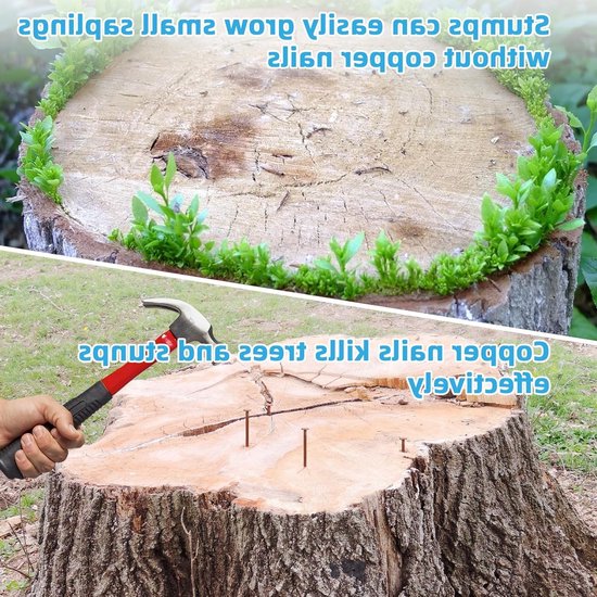 MTTProducts - Houtenstompverwijderaar - Koper - Sterke impactkracht - 89mm lang - Milieuvriendelijk - Bomen en struiken - Geschikt voor tuinieren van Mttproducts — afbeelding 5