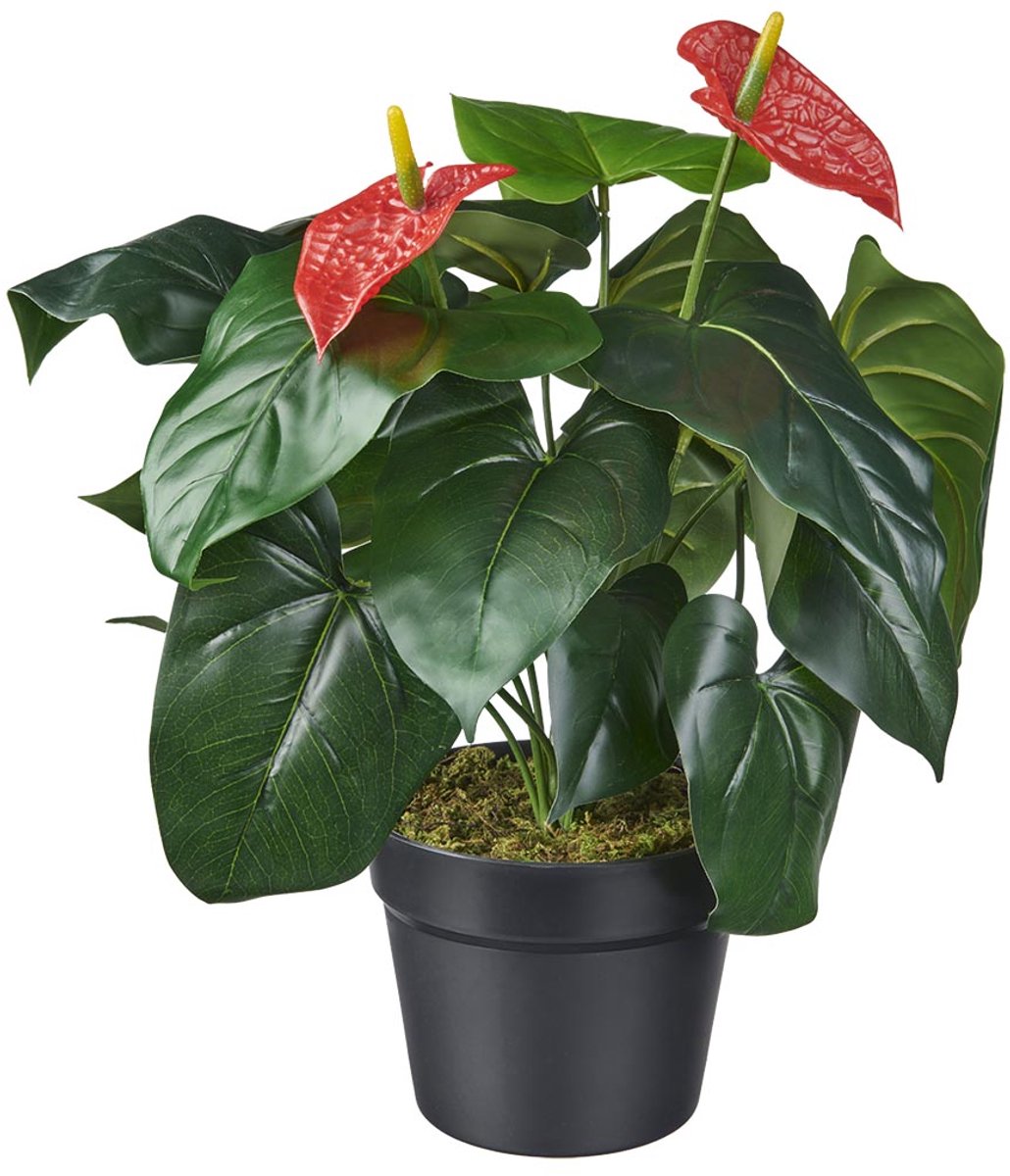 Kunstplant Anthurium H40cm - HTT Decorations kunstplanten