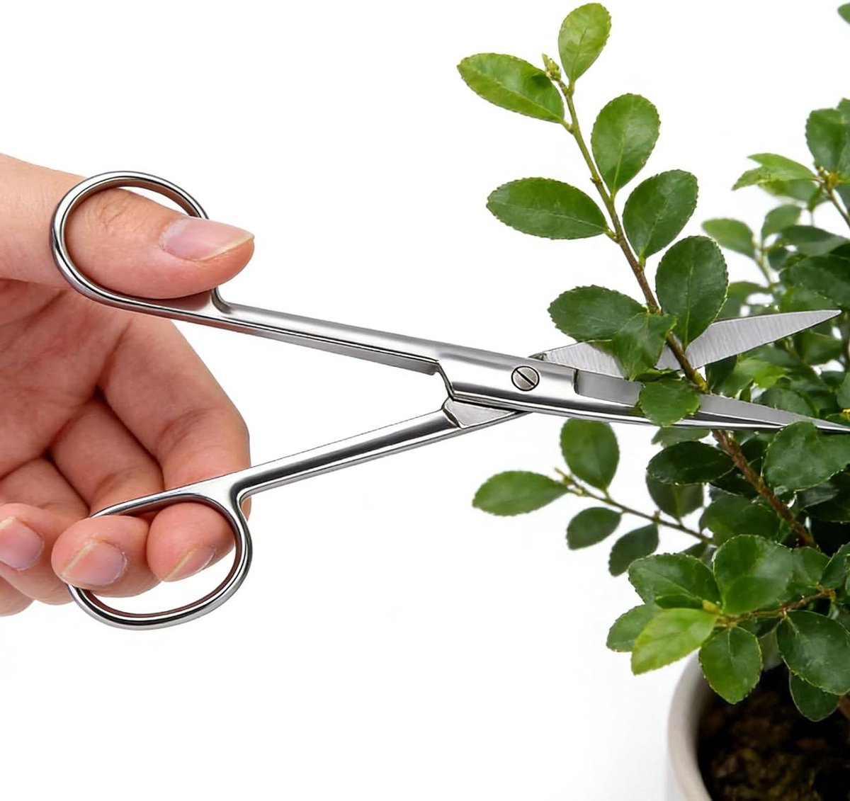 Plantenschaar Roestvrij Staal - Snoeischaar Tuin - Planten Snoeien - Nauwkeurig Snijden - 15.7 cm - Zilver