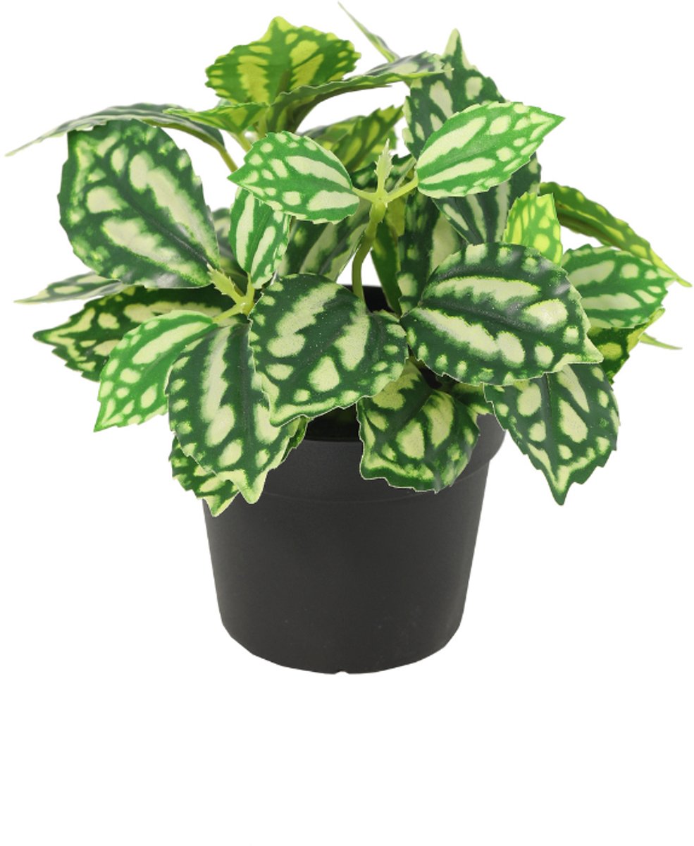 Trendyplants - Kunst Ice Water - Sierplant - Kunstplant - Hoogte 8cm - Potmaat Ø9cm