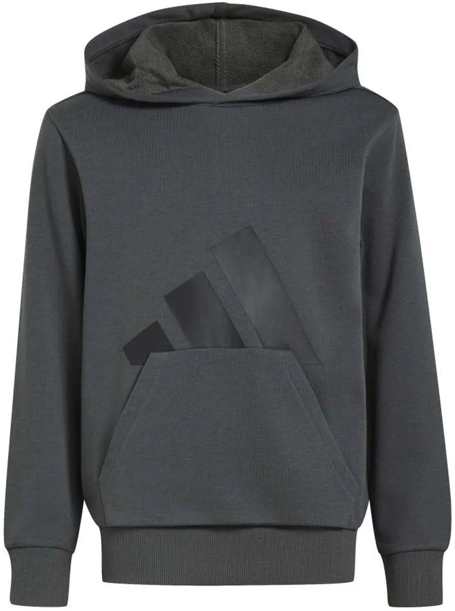 Adidas Essentials Hoodie 11-12 Years Kinderen Zwart