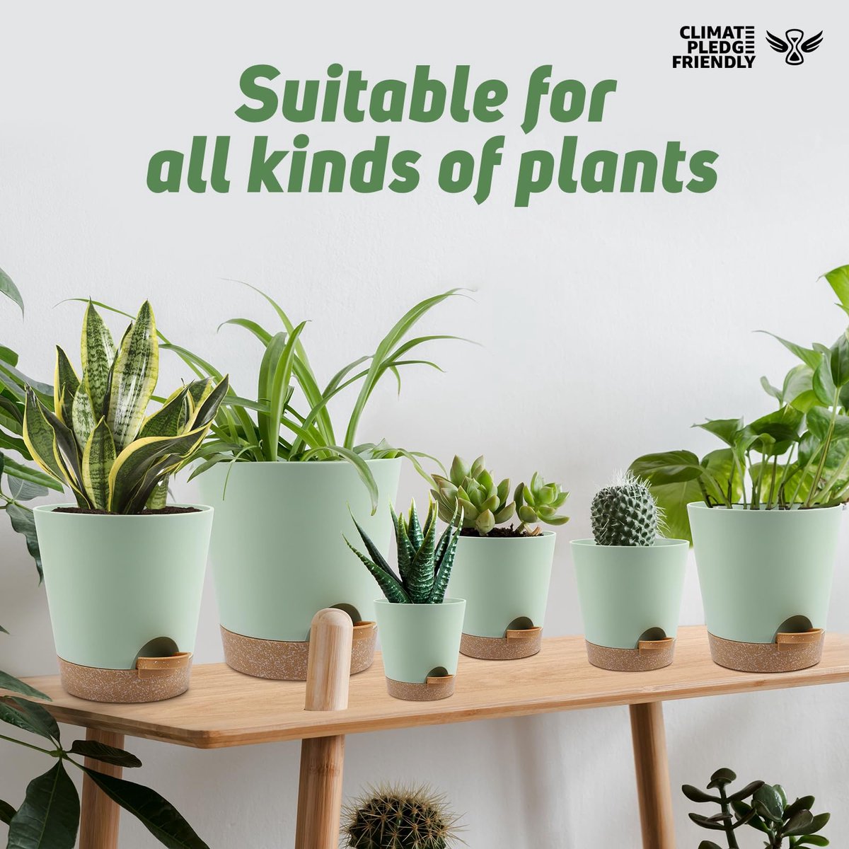 Zelfwaterende Plantenpot Set 6 Stuks - Bloempotten voor binnen -Plantenpot met Waterreservoir en Katoenen Lont - Kruidenpotten voor Binnen en Buiten - Bloempot Zelfbewaterend voor Keuken, Balkon en Tuin — cadeau in Wonen & Interieur - foto 4