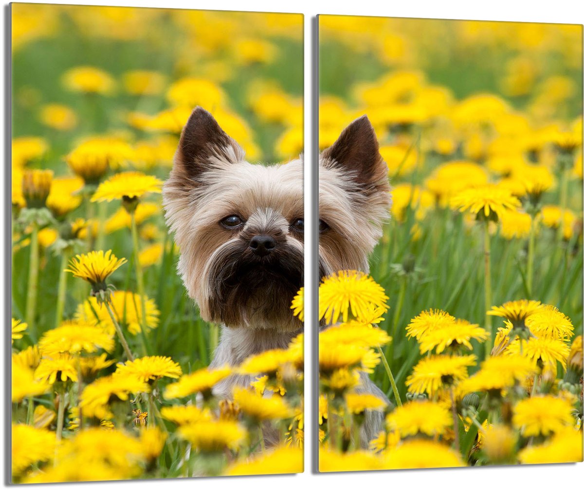 TMK ArtDeko - Snijplank - Glas - 2x30x52 cm - Motief Hond