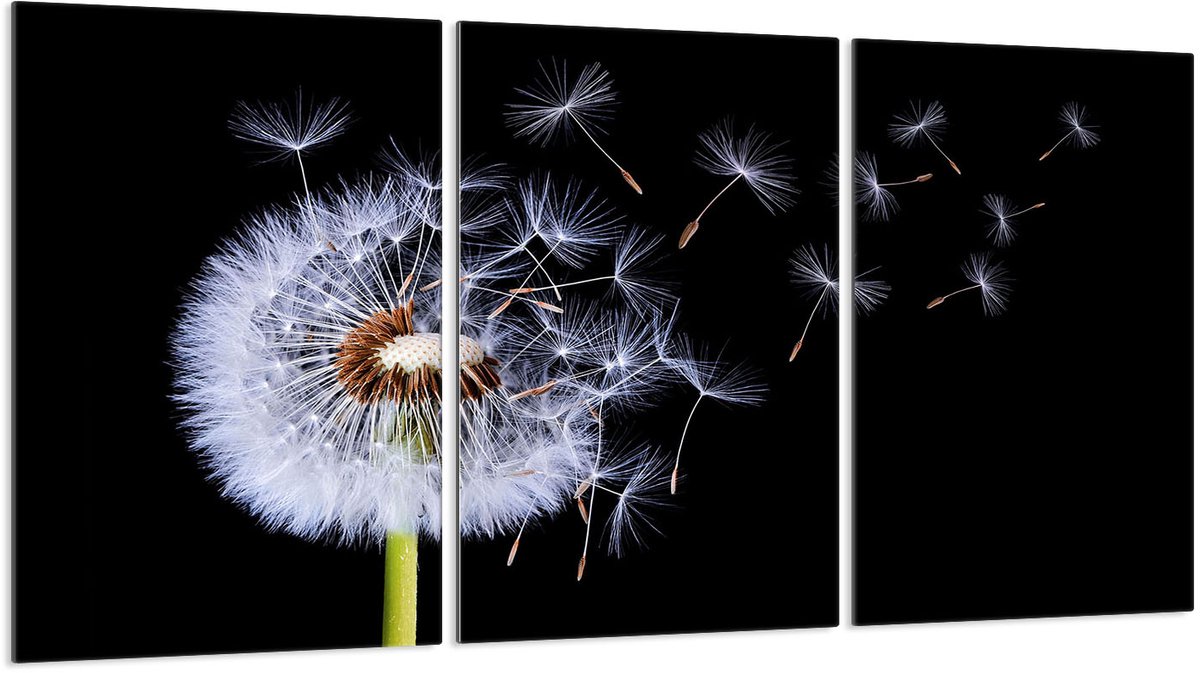 TMK ArtDeko - Snijplank - Beschermpaneel - Glas - 3x30x52 cm