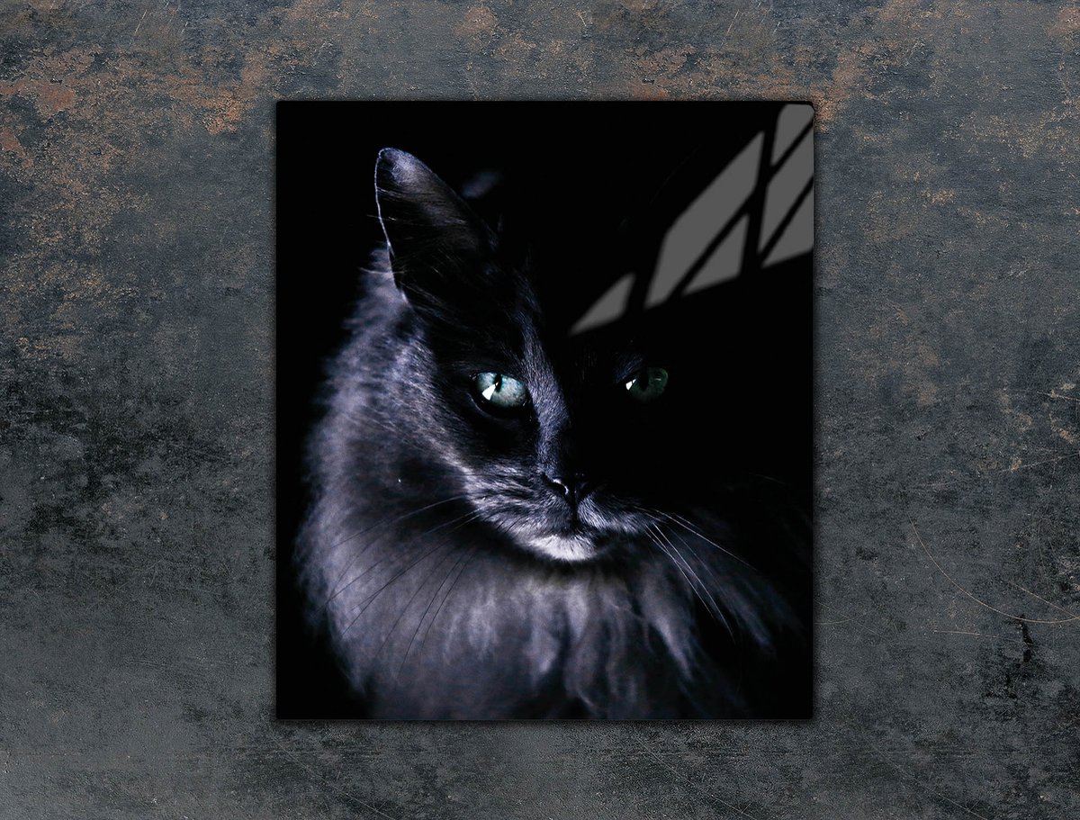 TMK ArtDeko - Snijplank - Glas - 45x52 cm - Kat