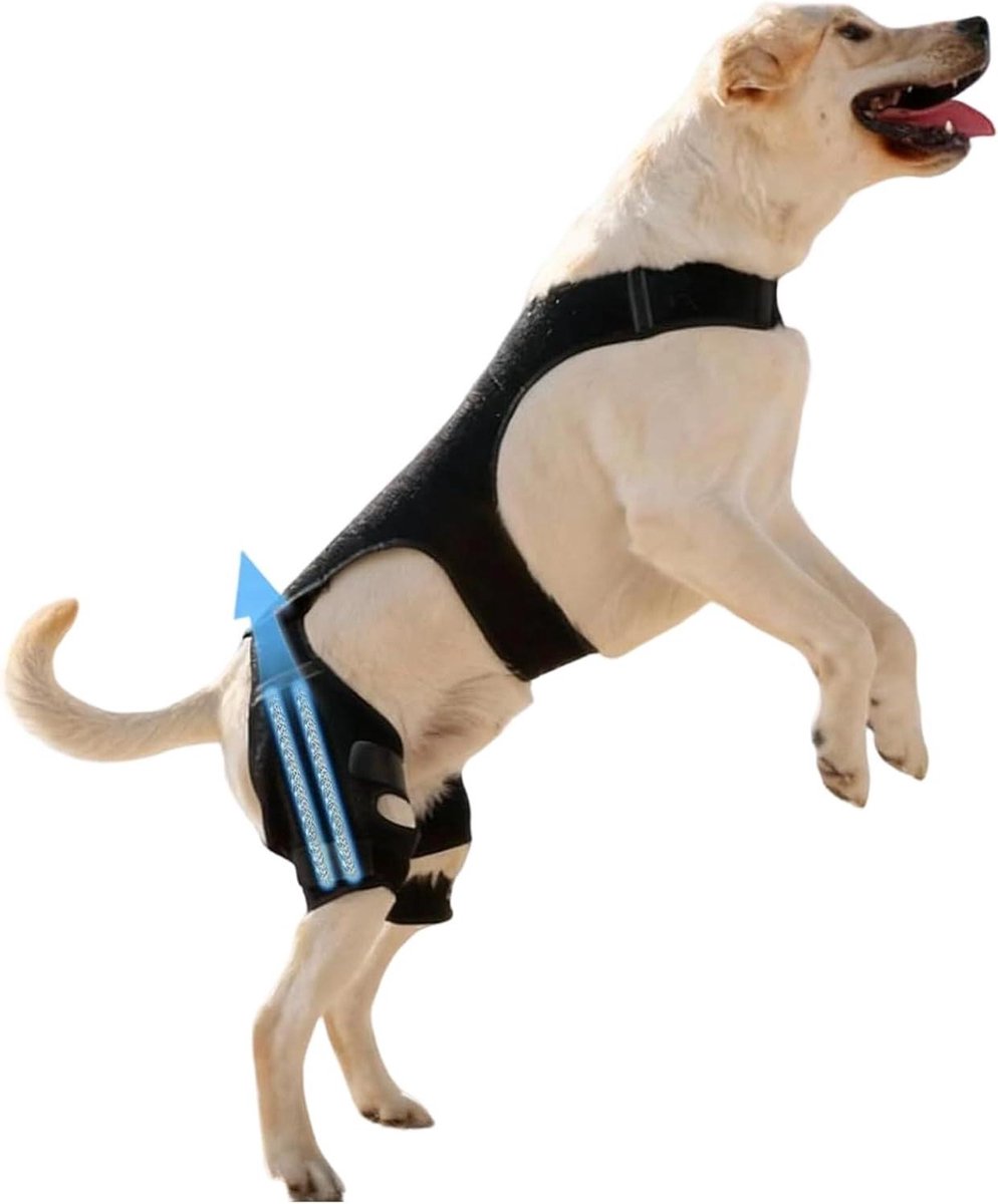 Honden Kniebeschermer - Achterpoot Brace - Ondersteuning Poten - 4 Metalen Stabilisatoren - Verstelbaar - Zwart