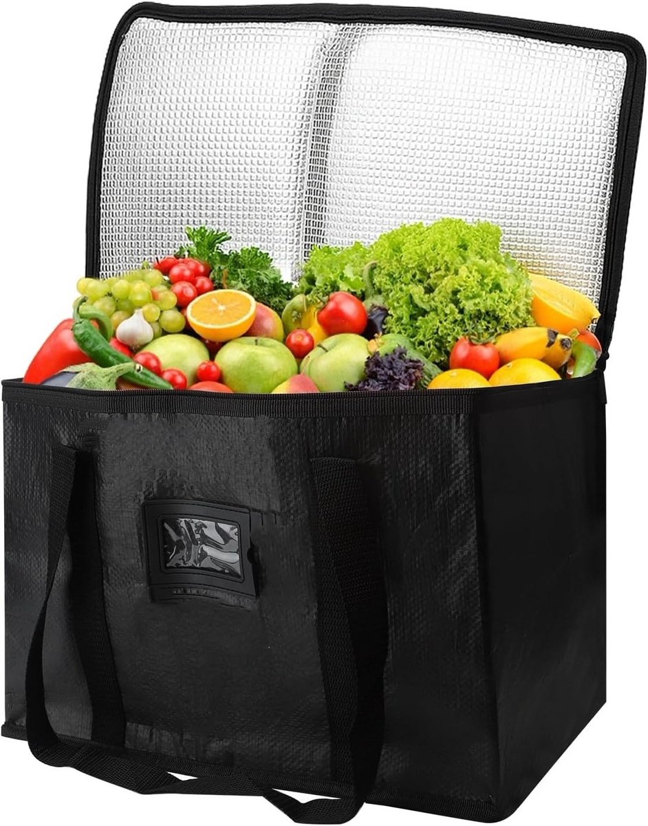Grote Vouwbare Koeltas van 43 x 30 x 31 cm voor Picknicks, Kamperen, Strand en Reizen met Isolatie en Thermische Bescherming