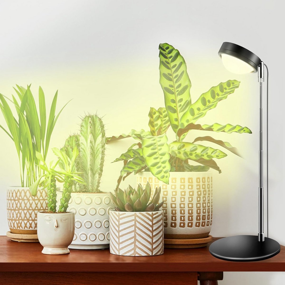 Plantenlamp LED - Groeilamp Kweeklamp - Planten Groei Stimuleren - Optische Lens Technologie - Verstelbare Hoogte - Warm Wit