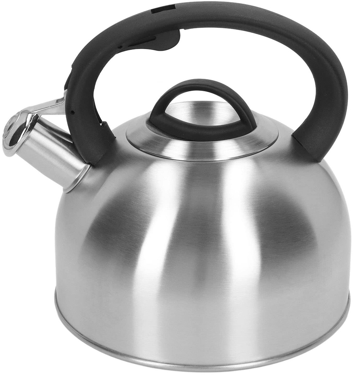 Dailygoods - Fluitketel - Waterkoker 3L - Snelle verwarming - Roestvrij staal - Inductiekookplaat - Duurzaam en stijlvol - Geschikt voor elke keuken
