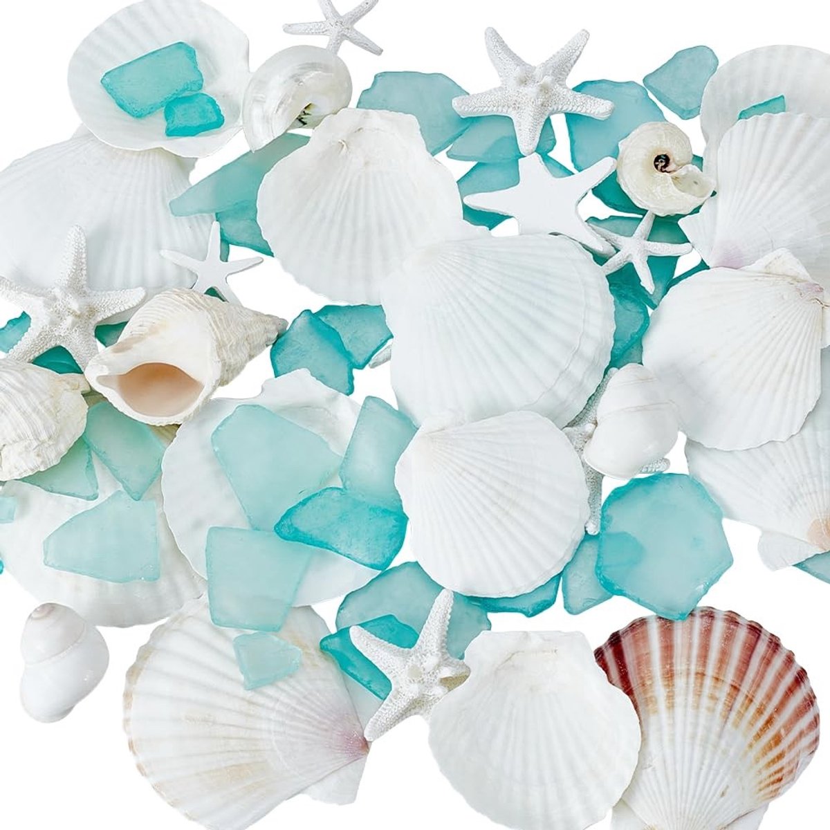 Dailygoods- Zeeschelpen Gemengd - Decoratie Schelpen - Natuurlijke Schelpornamenten - Zeester Hars Decoratie - DIY Knutselmateriaal - 10 Stuks - Decoratieschelpen