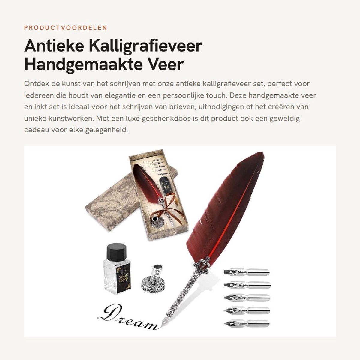Dailygoods- Kalligrafieveer handgemaakt - Inktset - Vintage briefpapier - 5 veren - Hoogwaardige legering - Duurzaam en uniek - Schrijfpen