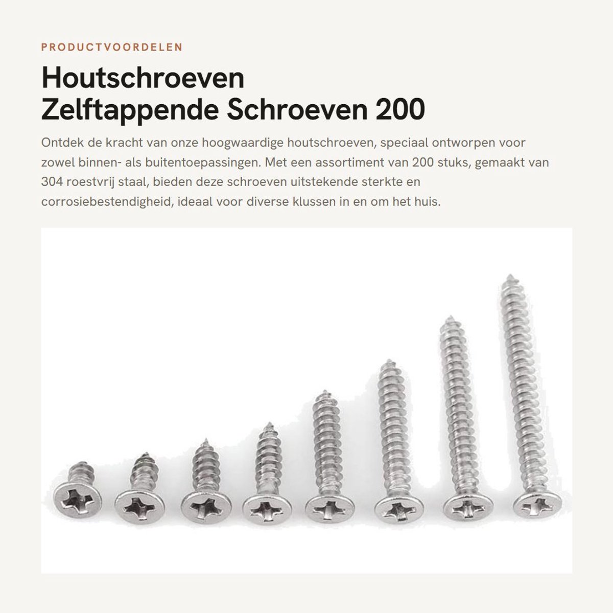 Dailygoods- Houtschroeven 200 Stuks - RVS Platkop/Phillips - Zelftappende Schroeven - Corrosiebestendig - Voor Binnen/Buiten - Sterk 304 Roestvrij Staal