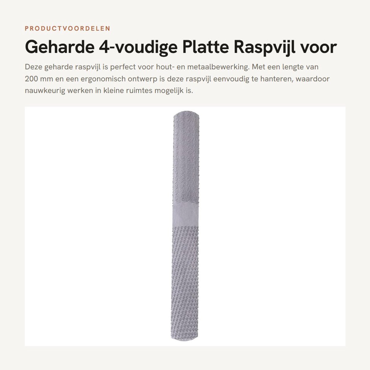 Dailygoods- Platteraspvijl 4-voudig - Ergonomisch Design - Houtbewerking/Metaalbewerking - 200 mm - Nauwkeurige Afwerking - Comfortabele Handgreep - Rasp