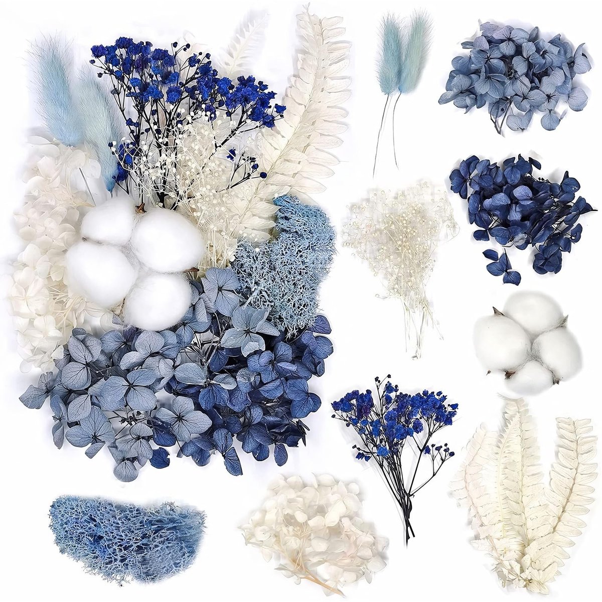 Dailygoods- Droogbloemen Set - Echte Geperste Bloemen - Voor Knutselen/Sieraden - Europese Stijl - 21x14 mm - Veelzijdig Gebruik