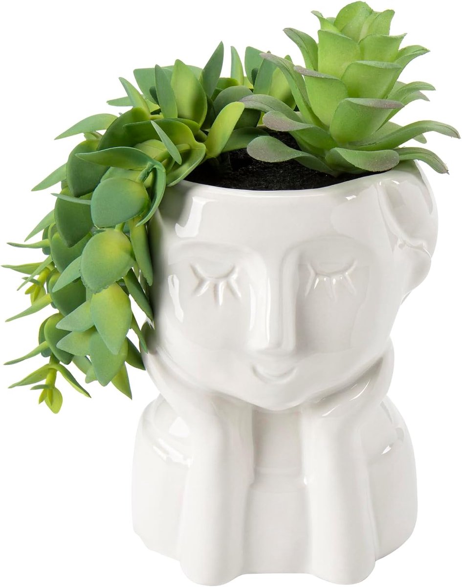 Kunstplant Succulent - Decoratie Plant - Huis Opfleuren - Keramische Pot - 33 cm Hoog - Gr