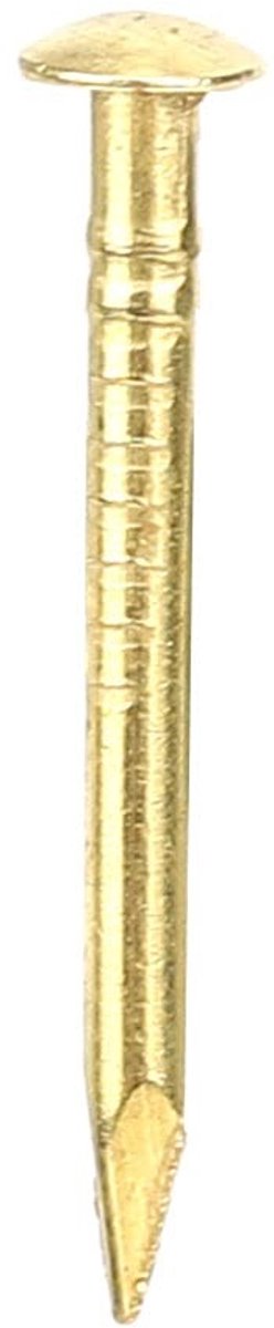Dailygoods- Messing Nagel 100 Stuks - Grote Hoofd - Meubelscharnier Hardware - Stevige Bevestiging - Eenvoudige Installatie - Verkrijgbaar in 10/15/18/22 mm - Meubelnagel