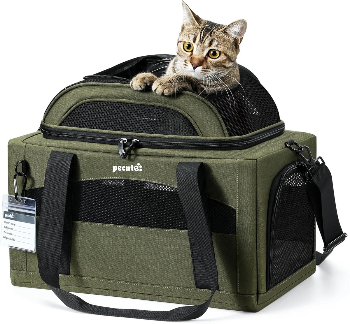 Draagtas voor Katten en Kleine Honden - Vliegtuiggeschikte Transporttas met Stabiliteit en Opvouwbare Functionaliteit, Groene Kleur