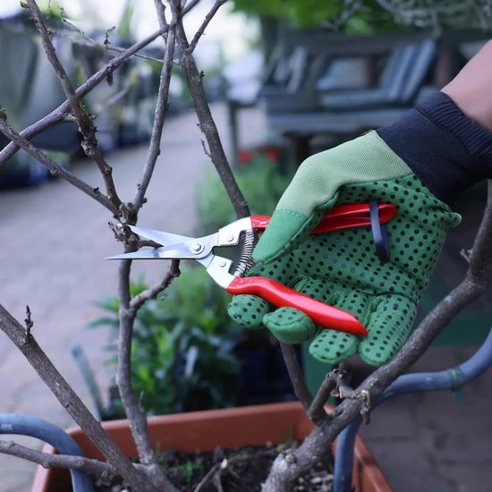 longziming - Tuinschaar - Oogstschaar - Snoeischaar - RVS - Met Veermechanisme en Vergrendeling - Voor Bloemen, Groenten en Fruit - 20,5 cm van longziming — afbeelding 2
