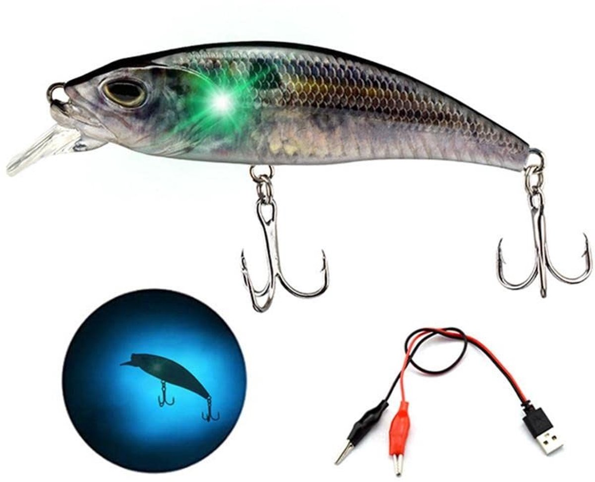 Dailygoods - Elektrische Vissen Lokt - LED Wobbler - USB Oplaadbaar - Knipperend Licht - Zoetwater en Zoutwater Vissen - Geschikt voor Forel en Bas
