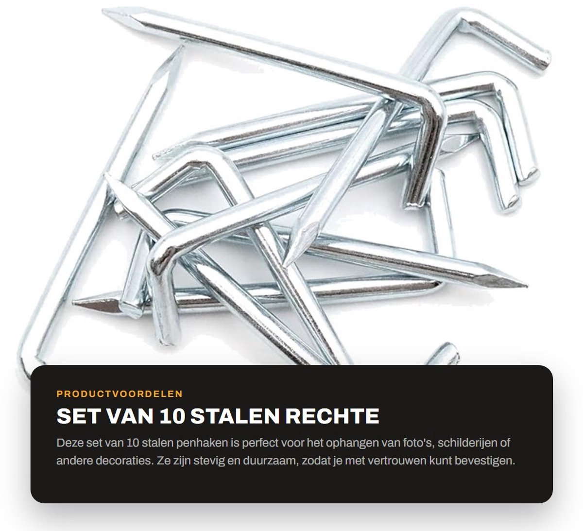 Dailygoods - Set van 10 Stalen Rechte Penhaken voor Wand- en Plafondbevestiging