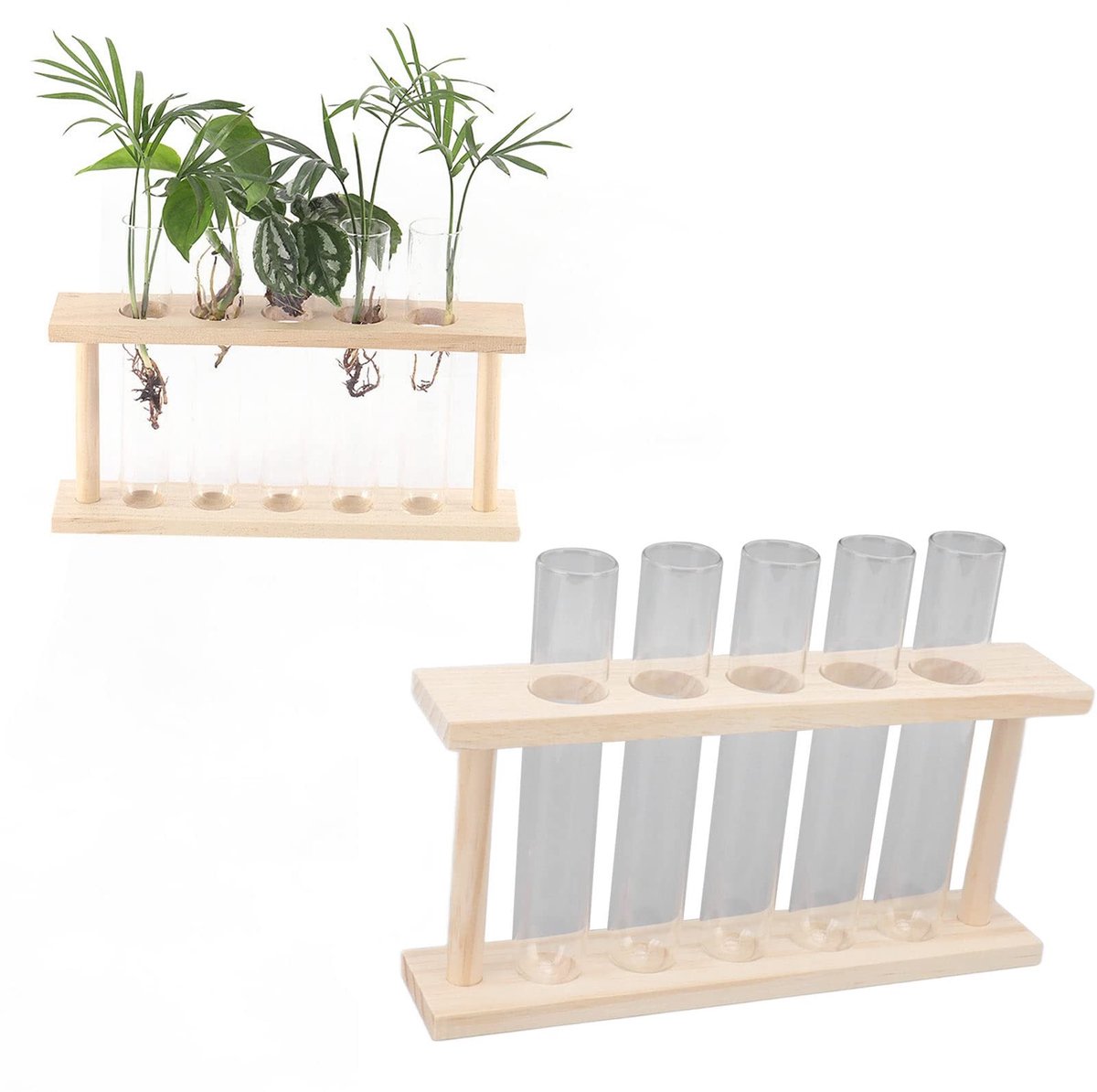 Dailygoods- Plantvoortplantingsbuizen 5 Stuks - Houten Standaard - Reageerbuisplantenterrarium - Woondecoratie - Transparant Glas - 22 x 12,5 x 4,5 cm - Plantenbak