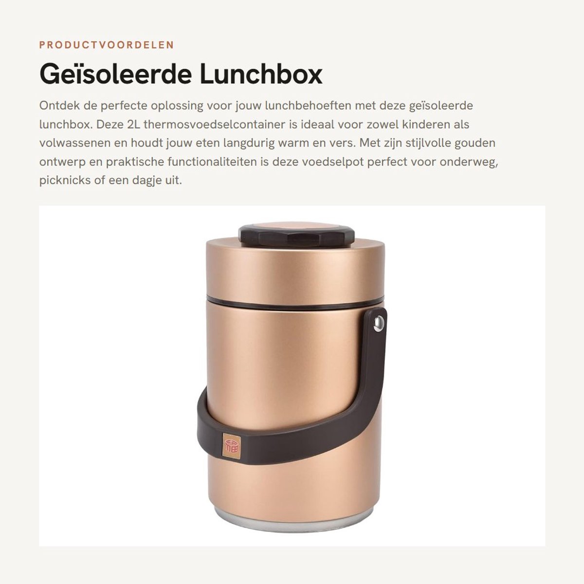 Dailygoods- Lunchbox Geïsoleerd 2L - Roestvrij Stalen Thermosvoedselcontainer - Draagbaar - Lekvrij - Hittebehoud - Duurzaam Design - Thermoscontainer